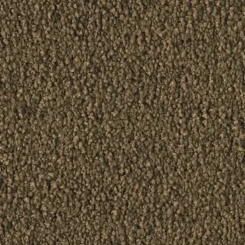 Preview: Vorwerk Violetta 7H44 – Draufsicht Teppichboden Farbe 7H44 ohne Badge